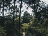 From Forest Trails to National Security: Closing the Information Gap From Forest Trails to National Security: Closing the Information Gap