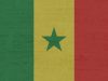 Police Fire Tear Gas as Senegal Parliament Debates Controversial Constitutional Reforms