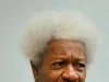 Tinubu Celebrates Wole Soyinka at 92, Hails Literary Giant’s Enduring Legacy