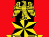 Tinubu Expands Nigerian Army to 12 Divisions