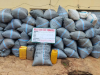 NDLEA Seizes ₦10bn Drugs at Lagos Ports