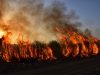 Deadly Wildfire Sweeps Through Southern Spain, Killing at Least 11 Amid Intense Heatwave