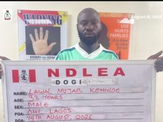 NDLEA Intercepts Record Cocaine Shipment, Arrests Socialite and Logistics Worker