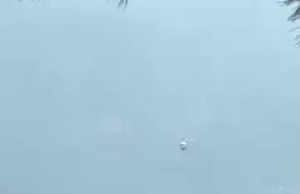 Two Die as Firefighting Helicopters Collide Near Athens
