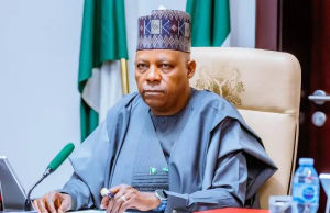 Shettima Defends Tinubu, Says President Deserves Praise