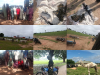 Niger Troops Rescue Nine Kidnap Victims, Recover Arms, Livestock